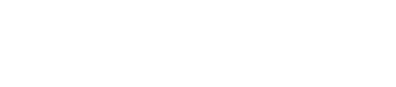 NextRise Minerals Logo